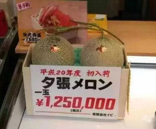 娱乐场所吃大瓜,揭秘明星幕后故事