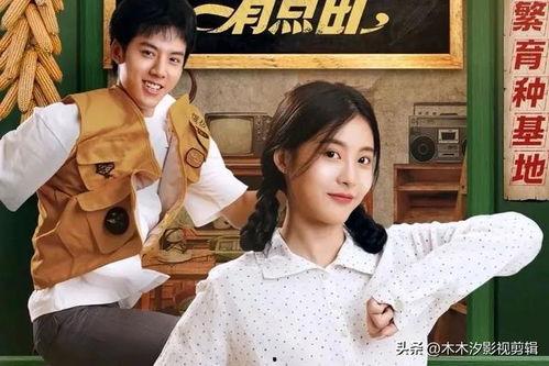 娱乐圈吃瓜短剧小说,瓜田里的甜蜜陷阱