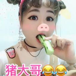 吃瓜猪娱乐视频,揭秘娱乐圈幕后故事